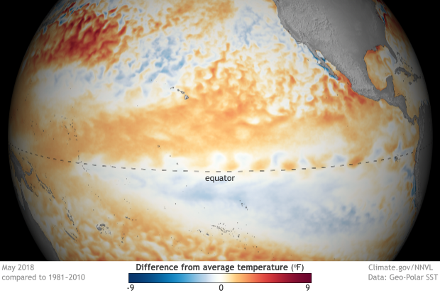 Sea surface temperature anomalies, May 2018