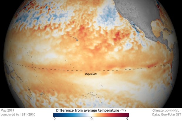 Sea surface temperature anomalies, May 2019