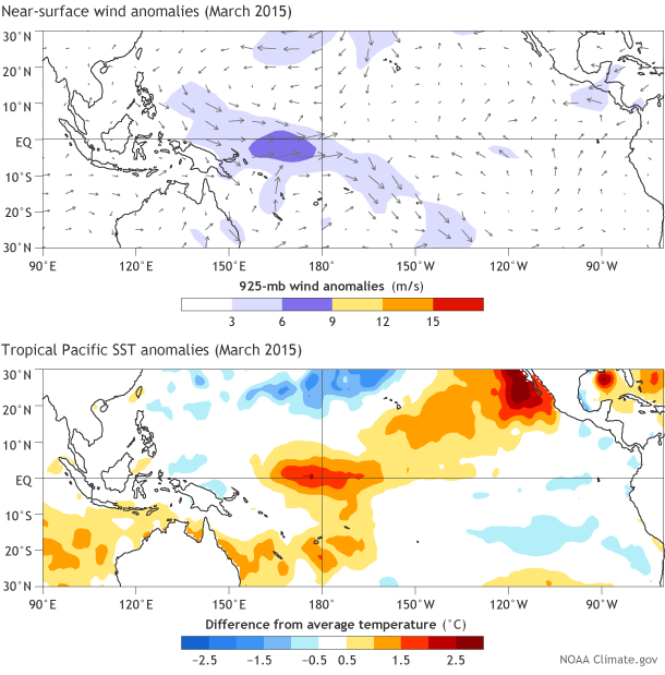 Wind and sea surface temperature anomalies for March 2015 in the tropical Pacific