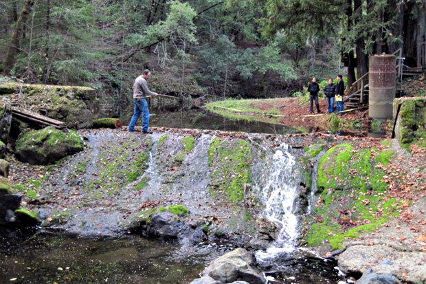 Flashboard dam on Mill Creek