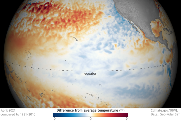 Spherical map of tropical Pacific ocean temperature patterns in April 2021