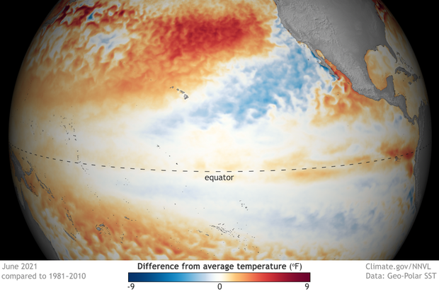 Spherical map of tropical Pacific temperature patterns in June 2021