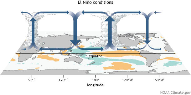 walker circulation, ENSO, El Niño, convection, circulation, walker cell, tropical circulation, Pacific Walker Circulation, Pacific Walker Cell
