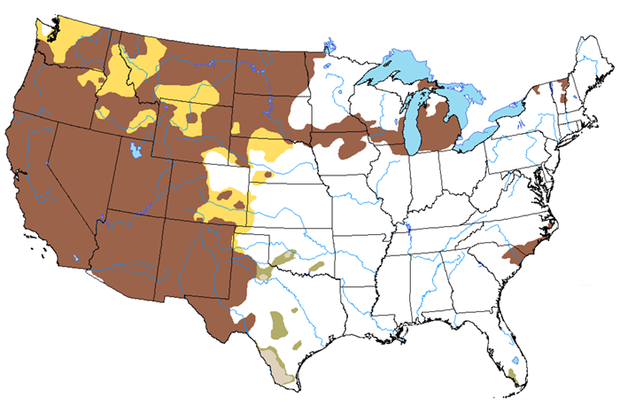 Drought forecast map