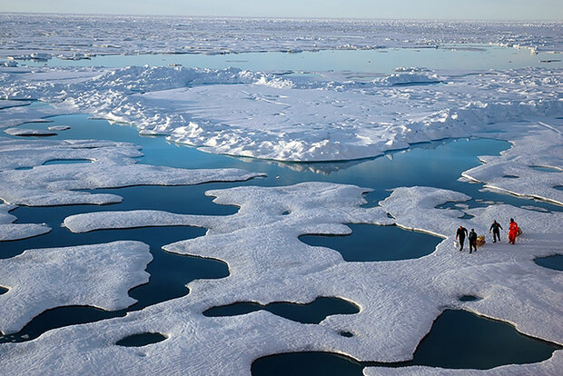 Scientists survey sea ice