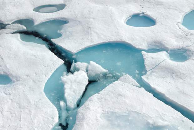 Multiyear ice floe