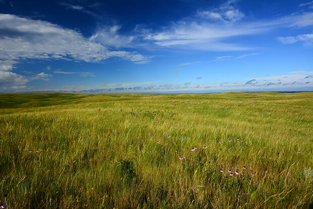 Great Plains
