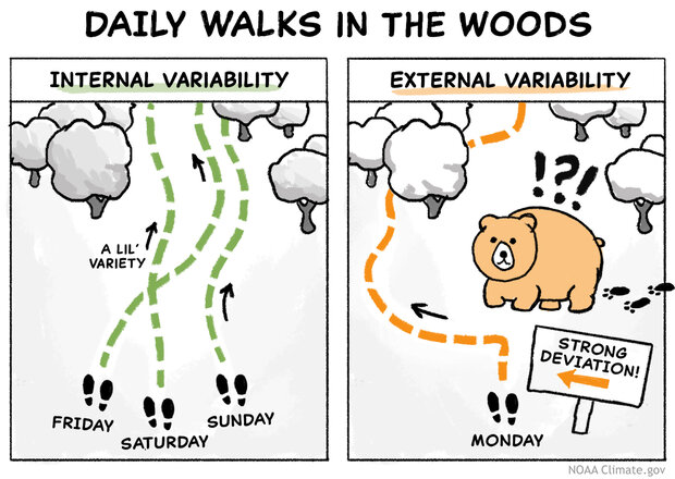 Internal vs. external variability cartoon