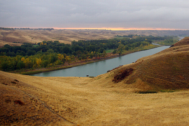 Landscape around water body with different vegetation types