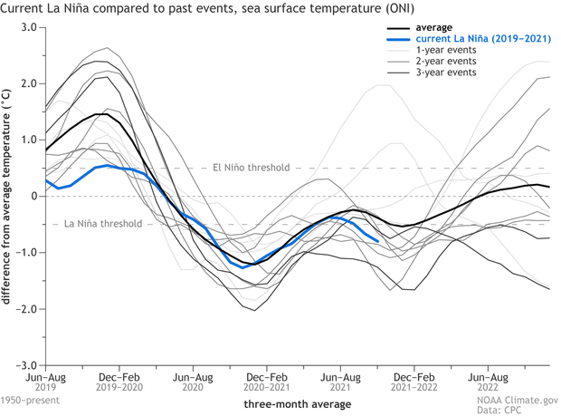 Graph showing time evolution of sea surface temperatures following all La Niña events on record