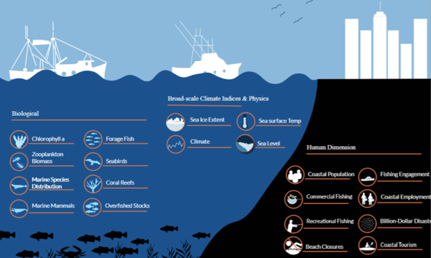 National Marine Ecosystem Status website categories