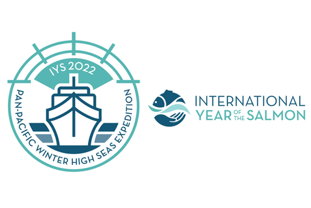 IYS 2022 logo