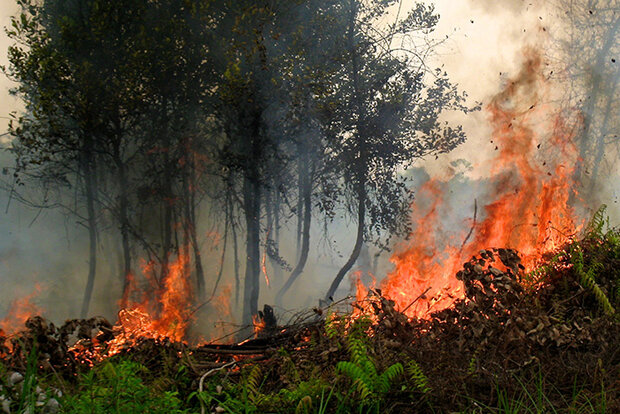 Indonesian wildfire