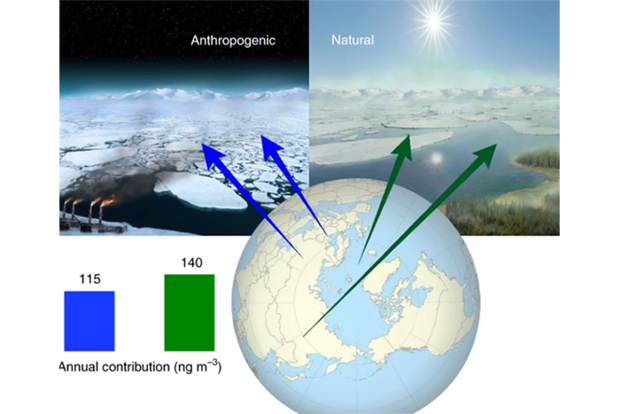 Anthropogenic and natural Arctic organic aerosols