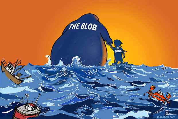 Cartoon of the Blob and El Nino