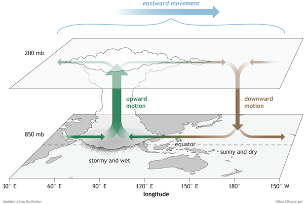 Madden-Julian Oscillation 