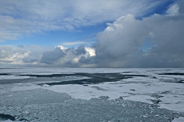 Arctic clouds and sea ice