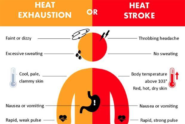 Heat exhaustion/stroke diagram