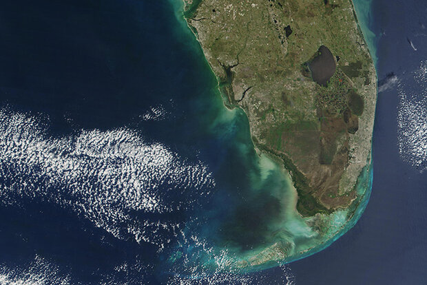 Algal bloom off Florida