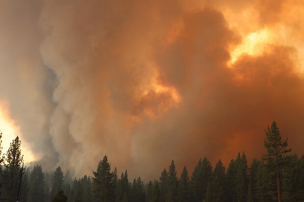 Tamarack Fire