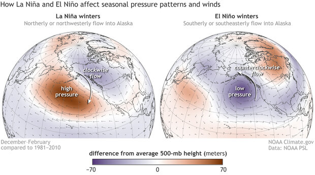 ENSO and Salmon | NOAA Climate.gov