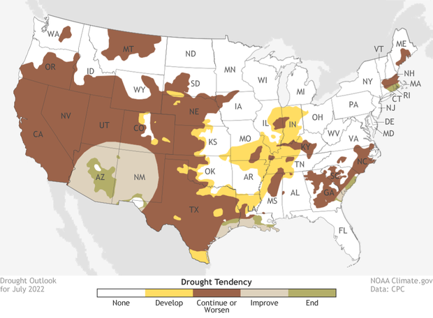 Contiguous US Drought outlook for July 2022. Brown areas across the West indicates areas where experts believe drought will persist or worsen. Green areas in the Southwest mean drought is likely to improve and/or end. Yellow areas in the central US indicate where drought is expected to develop. 