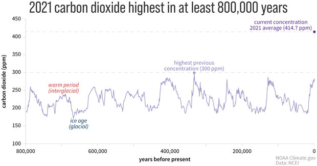 Graph of carbon dioxide amounts over the past 800,000 years compared to today's amounts