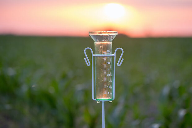 Rain gauge at sunset