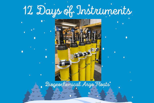 Argo floats