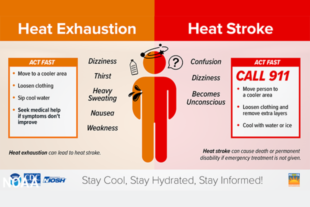 Heat exhaustion v. heat stroke schematic