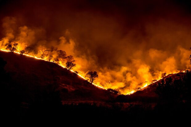 Wildfire burning vegetation at night