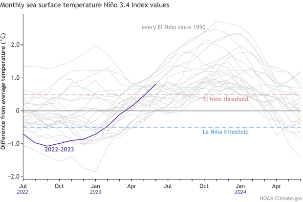 graph showing Niño-3.4 sea surface temperature