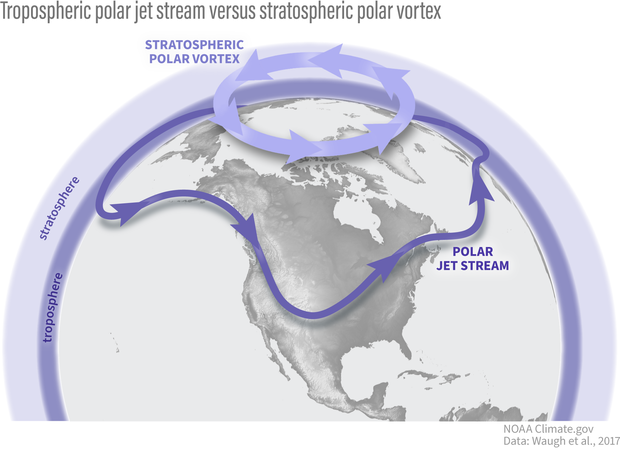 stratospheric polar vortex
