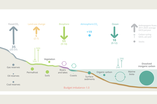 Carbon cycle diagram