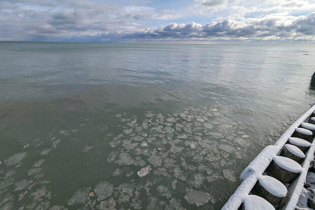 Pancake ice in Lake Huron