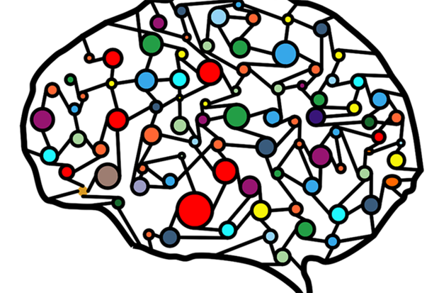 Neural network brain schematic