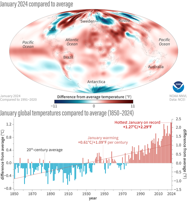 Combination graphic of a global map of January 2024 temperature anomalies and a bar chart of January temperatures each year from 1850-2024 comapred to average