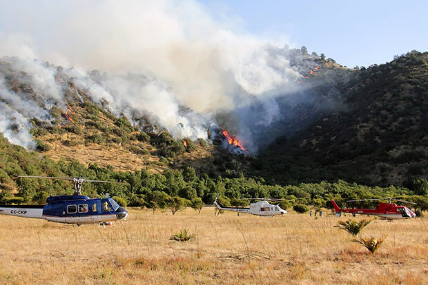 Helicopters with wildfire