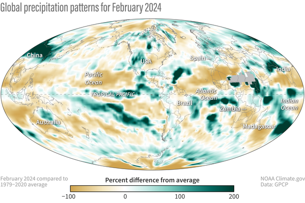 Global map showing precipitation patterns in green and brown