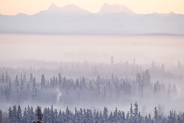 Low clouds over forested area