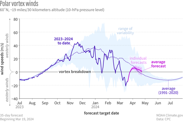 LIne graph showing observed and forecasted wind speeds in the polar vortex