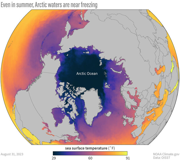 Color-coded map of sea surface temperature