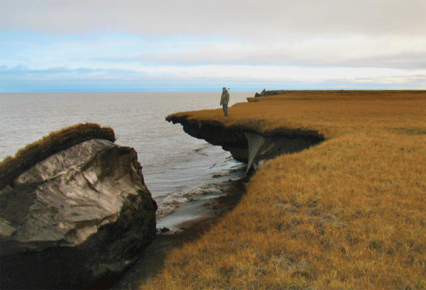 A person standing on an undercut portion of the coast with a chunk of permafrost in the water