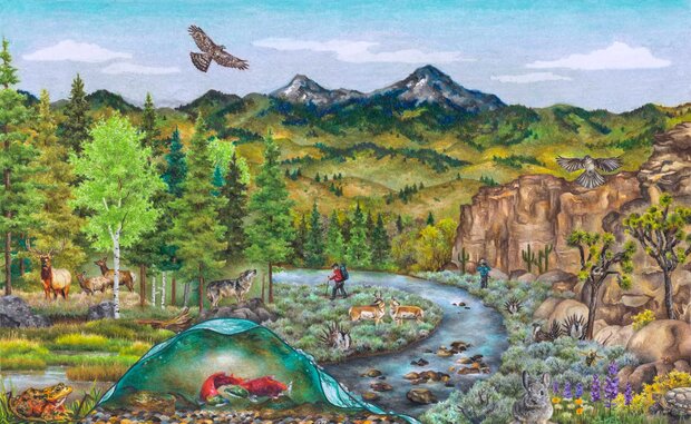 Colorful pencil drawing shows a landscape featuring a stream, mountains, cliffs, trees, cacti, wildflowers, elk, wolf, antelope, salmon, tortoise, hawk, bees, and other flora and fauna, as well as two humans.