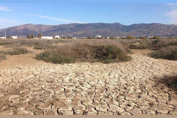 Photo of parched landscape