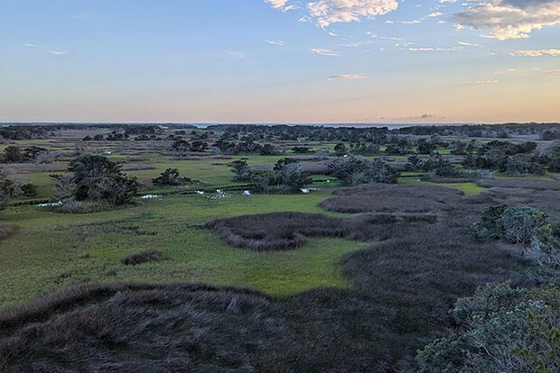 Ocracoke Island wetlands