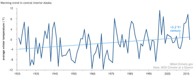 Temperature time series