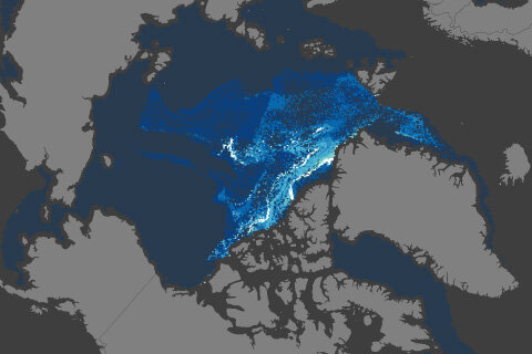 Sea ice age map