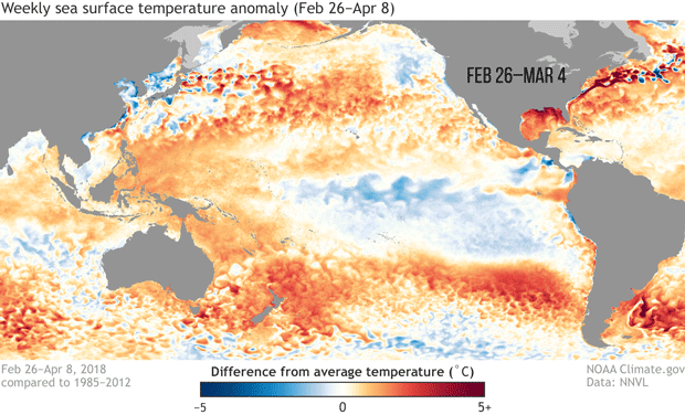 Map of Pacific Ocean temperature patterns from late Feb–Early April 2018