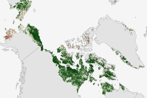 Arctic greenness map